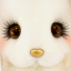 piglette.ru